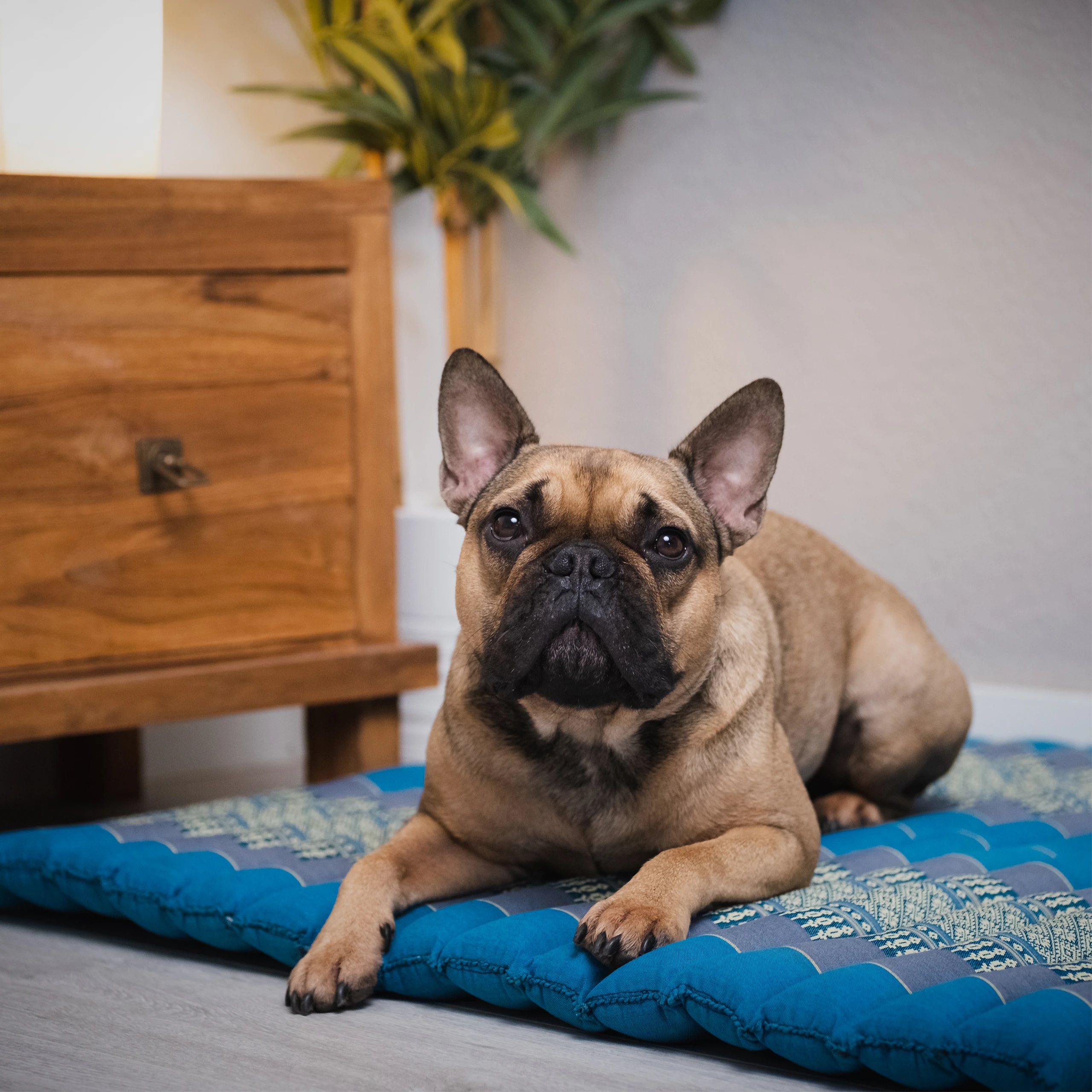 Kapok golvdyna 75 cm